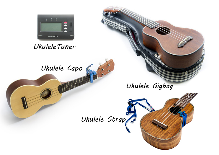 phu kien dan ukulele