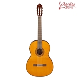 Đàn Classic Guitar Yamaha CGX122MS