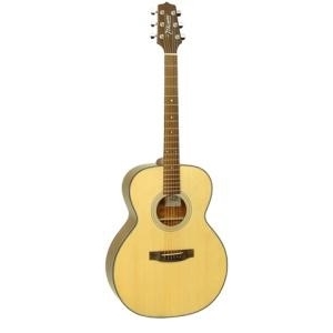 Đàn guitar Acoustic Takamine D2N NAT