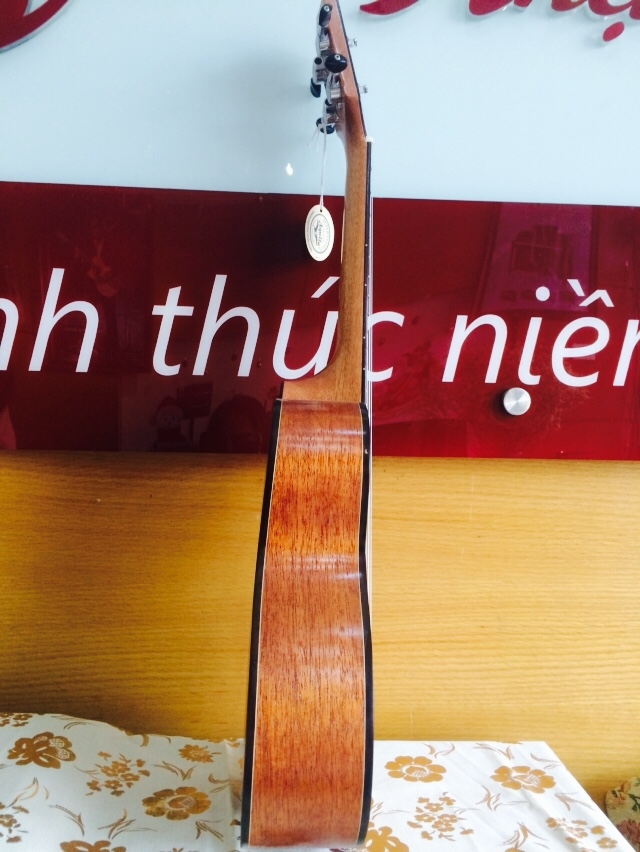 Ukulele VALOTE VA-24M02