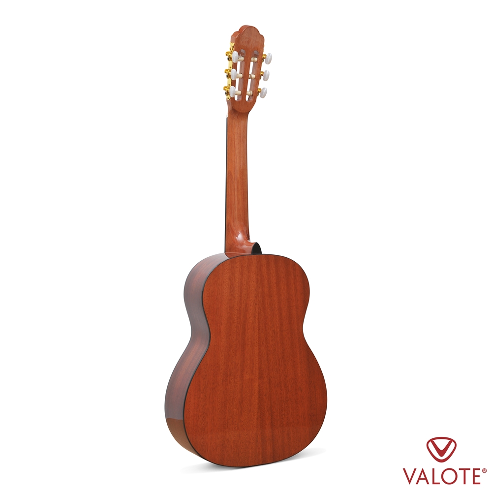 Guitar Classic VALOTE VC-101FB