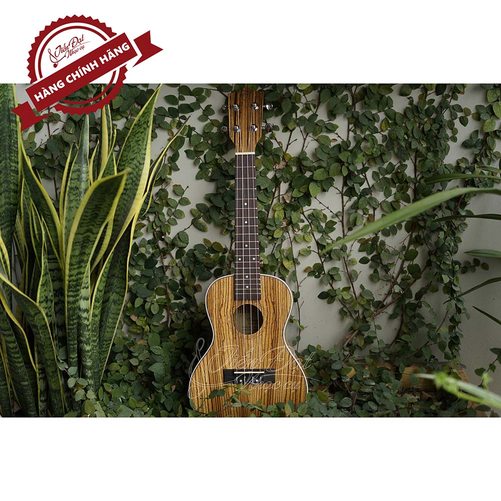 Ukulele concert chard 24b.jpg