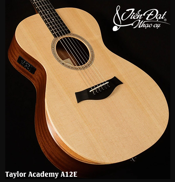Guitar dem hat taylor academy a12e