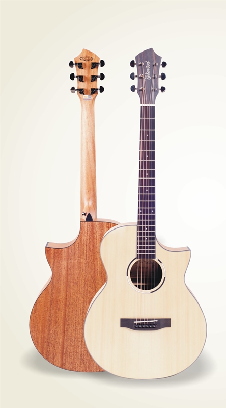 Đàn Guitar Acousitc Takavood TD-421C NS