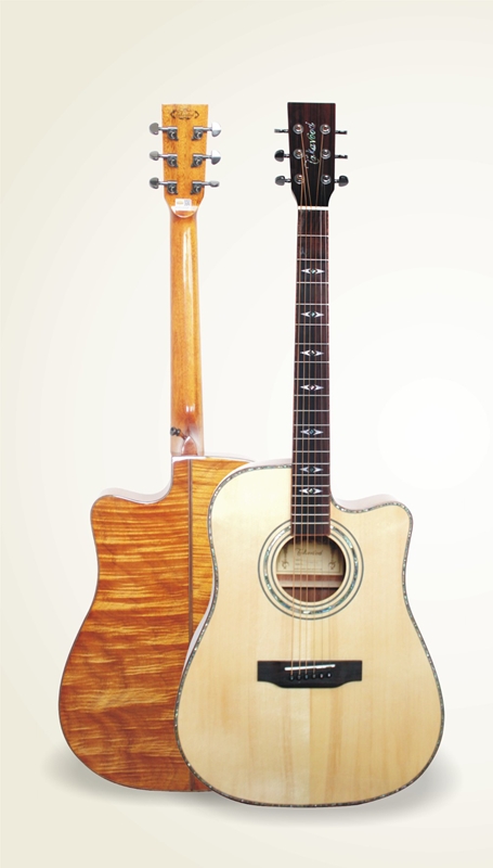 Đàn Guitar Acousitc Takavood TD688C NA