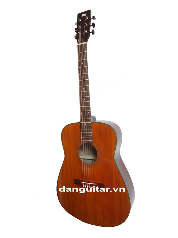 Đàn Guitar Acoustic GA- 10 EV