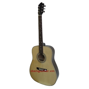 Đàn Guitar Acoustic GA-20HV