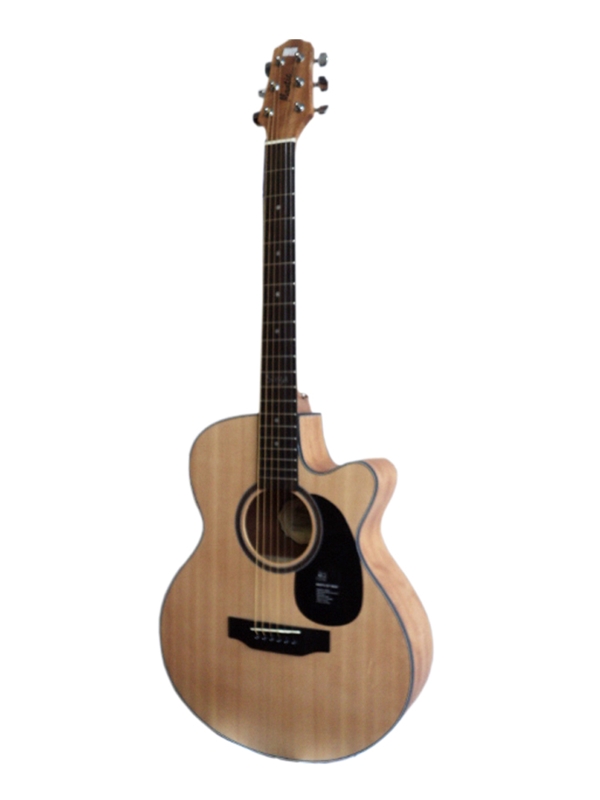 Đàn Guitar Acoustic Mantic MG-1C