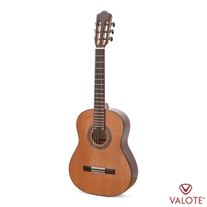 Đàn Guitar Classic VALOTE VC-301FB