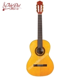 Guitar Classic Cordoba C1 3/4 Size